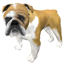 Bulldog by Priide