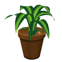 Plant by Scopia