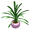 Potplant2