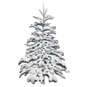 Blue pine under snow