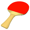 Table tennis bat