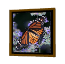 Butterfly Frame