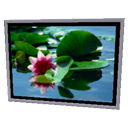 Water Lily Frame