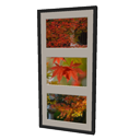 Frame3Horizontal Momiji Photos