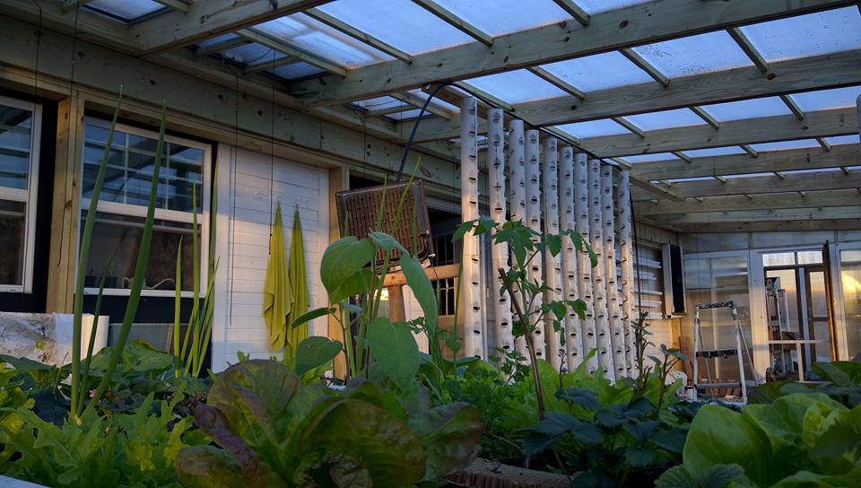 aquaponic towers