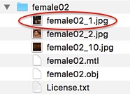 file female